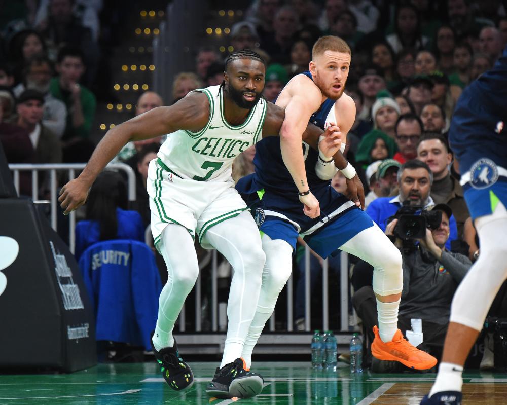 使公众得以 使公众得以